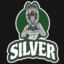 SilverVeil