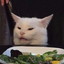 saladcat