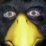 Birdman