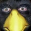 Birdman