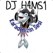 DJ H4MS1