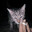 1eRmOntoFf_MeNtA1ItY