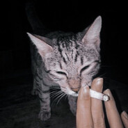 1eRmOntoFf_MeNtA1ItY