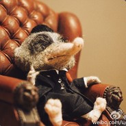 鳳華喜歡小動物