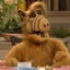 ALF_ALF