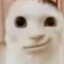 797
