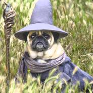 Pugdalf the wizard