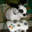 vinceBOY13 avatar