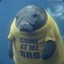 KillerManatee23