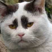 ۩ĐĨŚķŘεàӍ۩