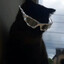 THUG52NGG-