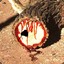 Punished_Log