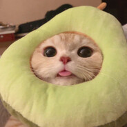 Meow Meow