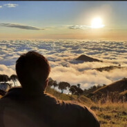 恰似惊鸿落人间