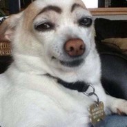 拿着夹子追兔子