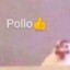 Pollo