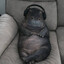 1111