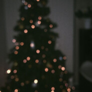 zxcНикиточка2014