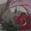 ANEMONE