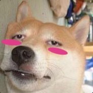 唐拉贡普拉德士盖