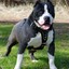 REX