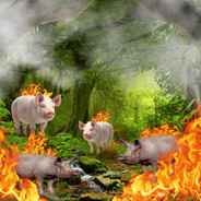 Pigs on Fire™