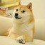 Doge
