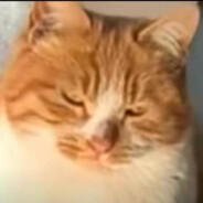 释放男人心中虎 ✪