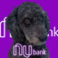 Cachorro_Nubank