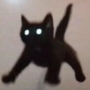 󠁳⁧⁧󠁳⁧⁧󠁳󠁳Cat avatar