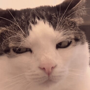 你想要的是现在