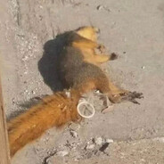 DO NOT FART LITTLE PUSSY