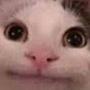 zivnnnnnnnnnnnnnn - steam id 76561198214395515