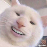 霸道卫生蔀长爱上我