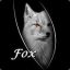 dark_fox