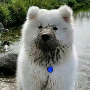 士多啤梨味的草履虫