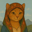 kedi