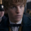 Newt Scamander