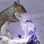 Badass Evil Wizard Squirrel