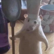 此愿无愧世间有愧人