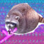 your racoon dad