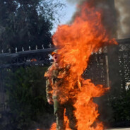 钢枪我不行苟进前三名