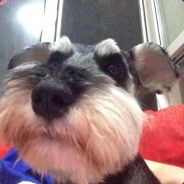 干就完了奥利给