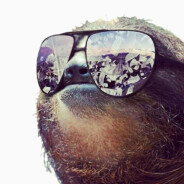 Dave The Sloth's avatar