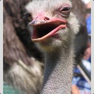 Y JI u 4 I-I bI u      DANCER