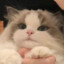 Tohina