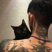 我和猫都在想你