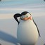 PenguinPeko