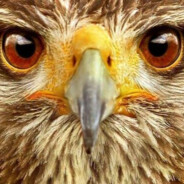 Мультипликатор