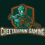 Cheetahpaw Gaming